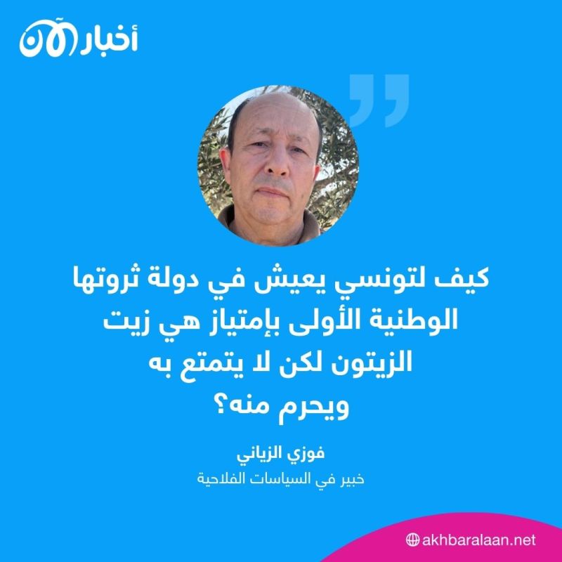 الجفاف يعصف بالزيتون التونسي.. فلاحون لأخبار الآن: "إذا مات الزيتون متنا نحن"