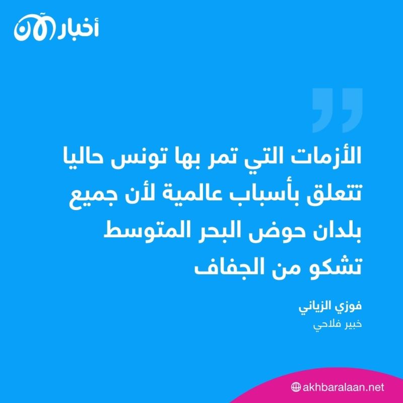 خبيرة دولية تؤكد أن تونس من بين أكثر دول المتوسط تأثرا بأزمة المناخ