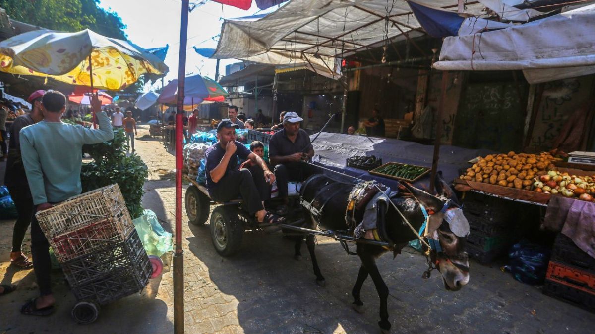 معاناة أهالي غزة مستمرة.. يعتاشون بالقليل من الزاد والمياه 3 معاناة أهالي غزة مستمرة.. يعتاشون بالقليل من الزاد والمياه