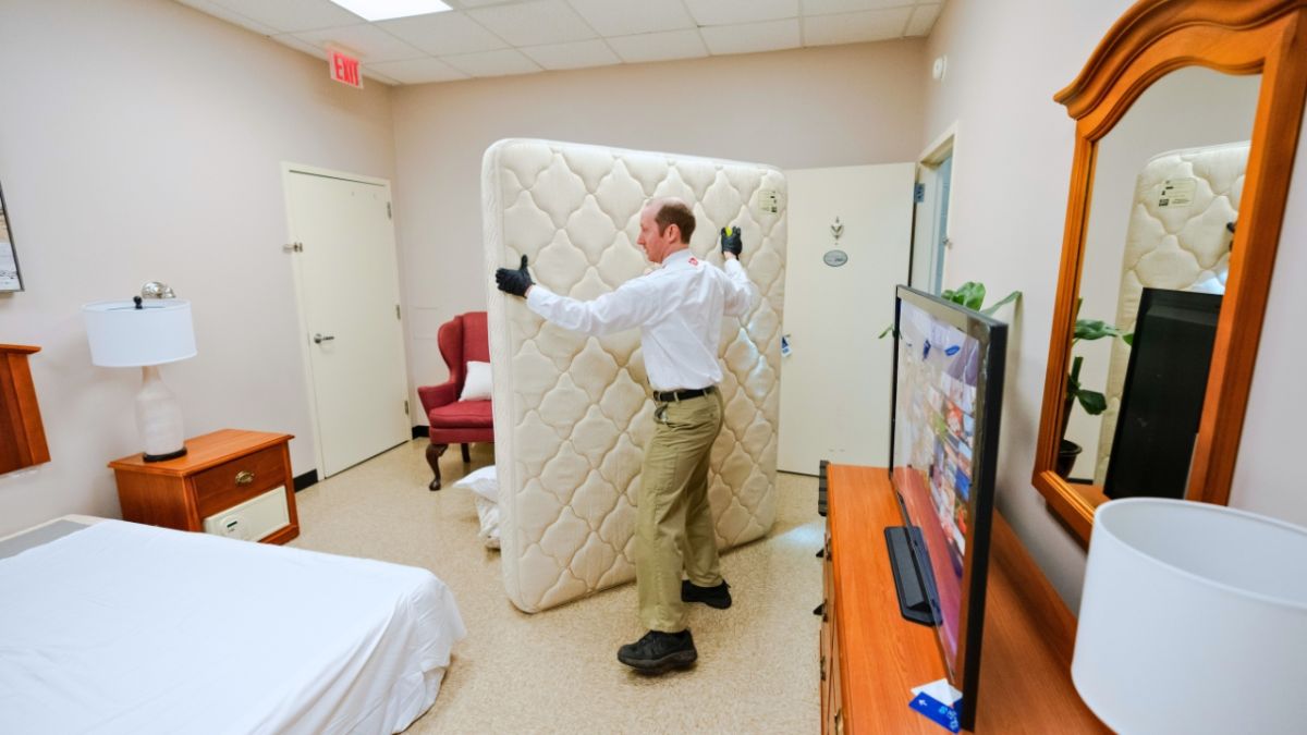 بعد اجتياح بق الفراش فرنسا.. لماذا يصعب التعامل معه والقضاء عليه؟