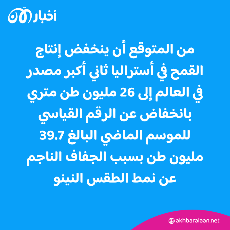 الصين تشتري القمح الأسترالي.. كيف ستتسبب بكين في زيادة أسعار الخبز عالميًا؟