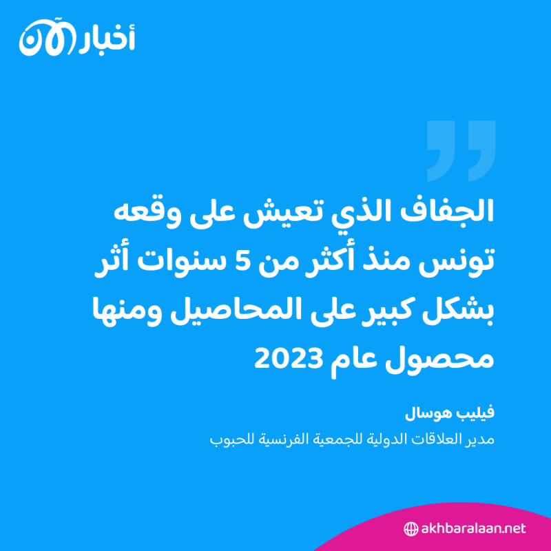 بسبب أزمتها.. فرنسا تزود تونس بالقمح اللين والشعير