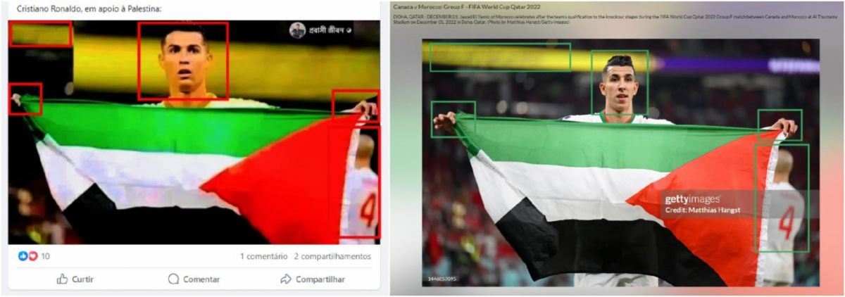 رونالدو يحمل العلم الفلسطيني في الملعب.. ما حقيقة الصورة؟