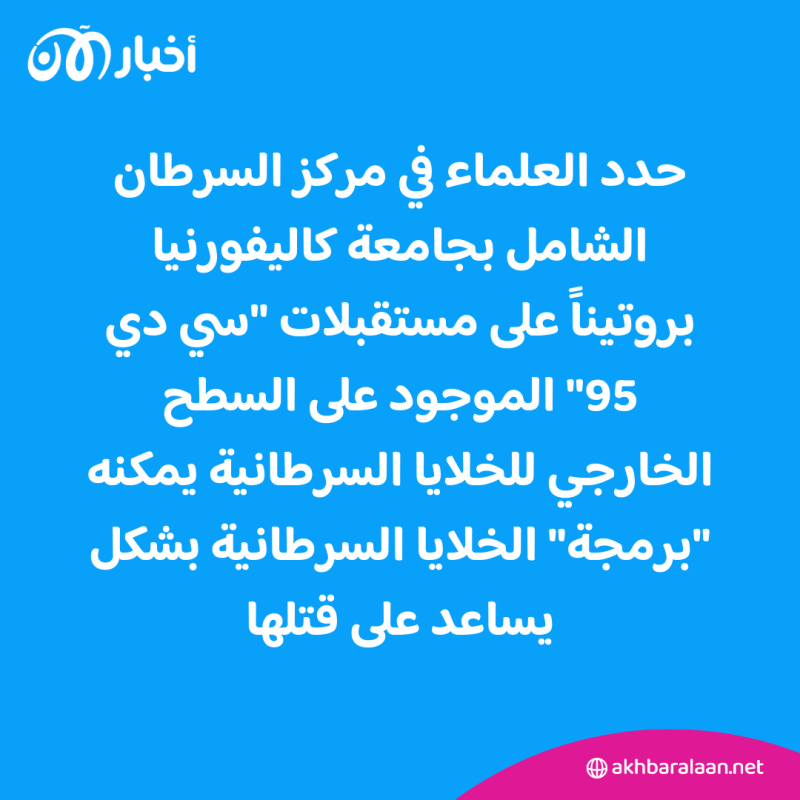 العلماء يجدون طريقة للقضاء على الخلايا السرطانية.. فما هي؟ 1 العلماء يجدون مفتاح القضاء على الخلايا السرطانية.. فما هو؟