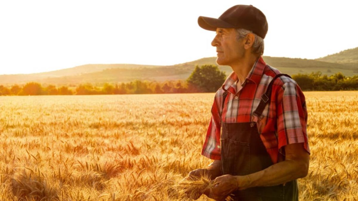 دليلك الشامل إلى أقدم الحرف والمهن في تاريخ الإنسان 4 مهنة المزارع