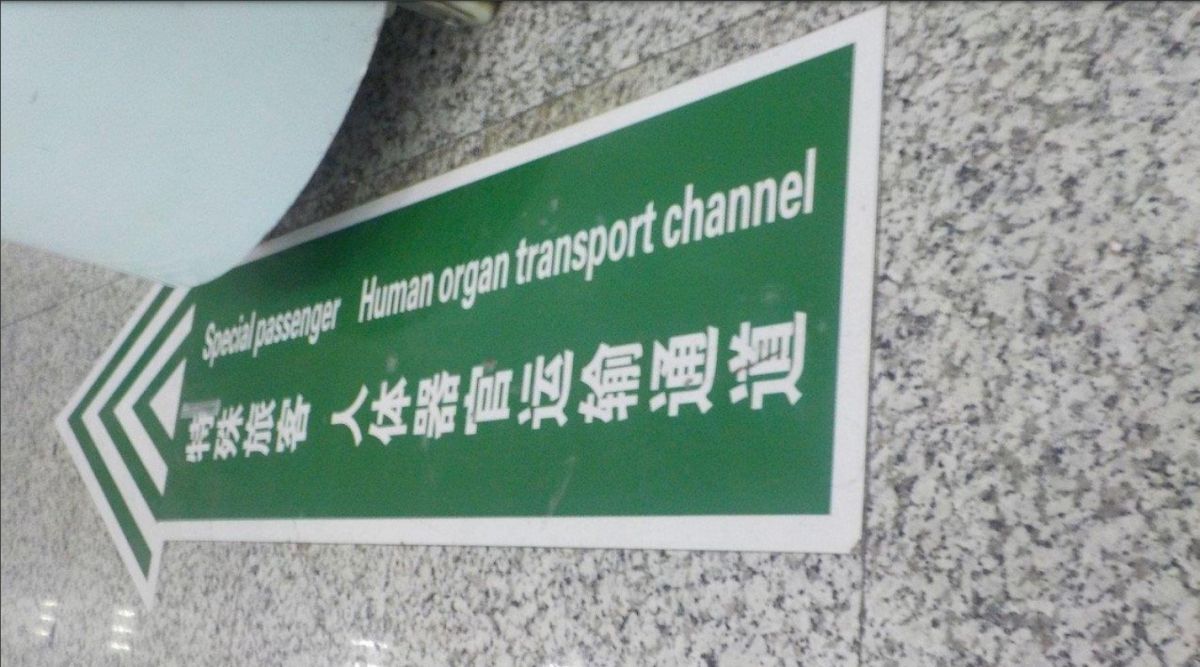 أعضاء حلال من المعتقل إلى المشتري.. تجارة مخيفة وقودها السجناء