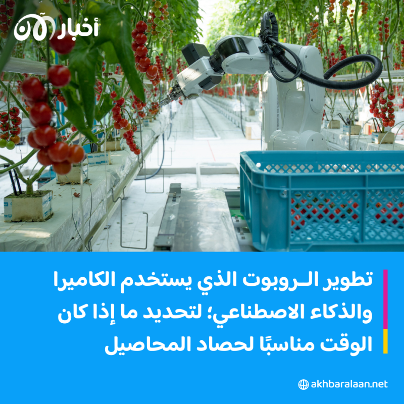 الزراعة الذكية.. كيف تعوض الروبوتات نقص العمالة الحاد في اليابان؟
