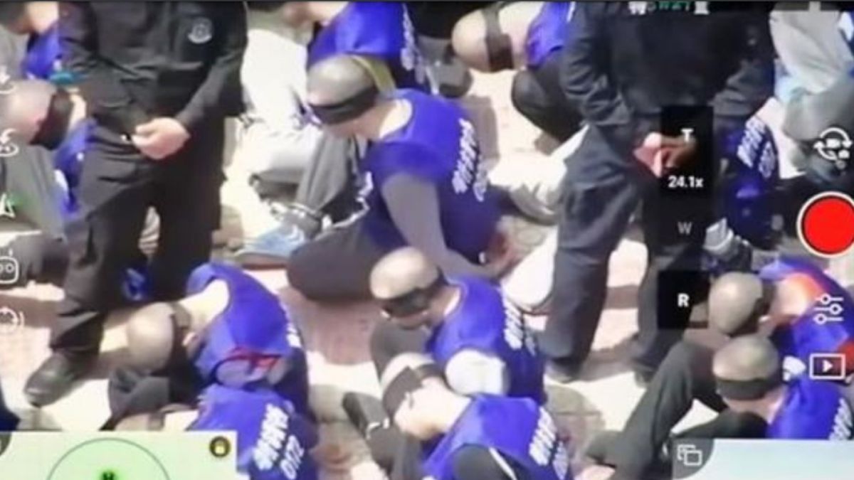 أعضاء حلال من المعتقل إلى المشتري.. تجارة مخيفة وقودها السجناء