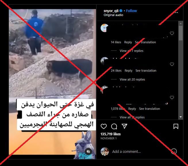 كلب يدفن صغاره في غزة.. ما حقيقة الفيديو؟