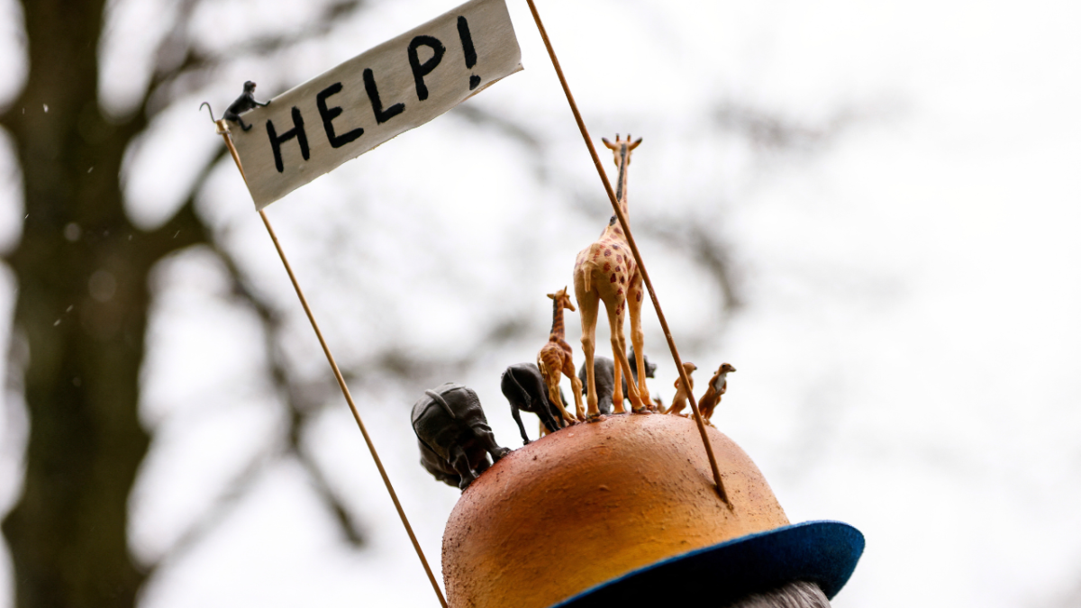 تظاهرة من أجل المناخ في بروكسل.. وجهود عالمية في COP28 1 تظاهرة من أجل المناخ في بروكسل.. وجهود عالمية في COP28