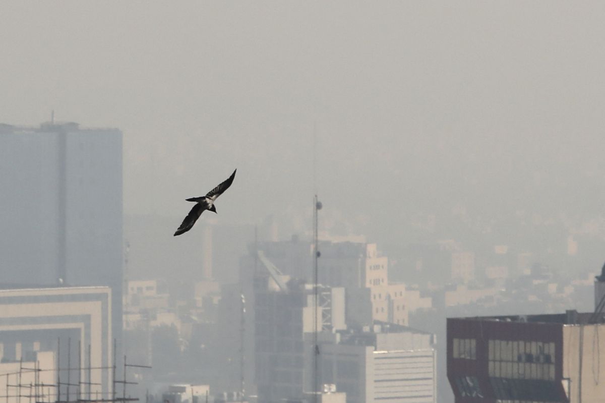 40 ألف وفاة سنوياً.. تلوث الهواء يجبر إيران على إغلاق المدارس 7 40 ألف وفاة سنوياً.. تلوث الهواء يجبر إيران على إغلاق المدارس