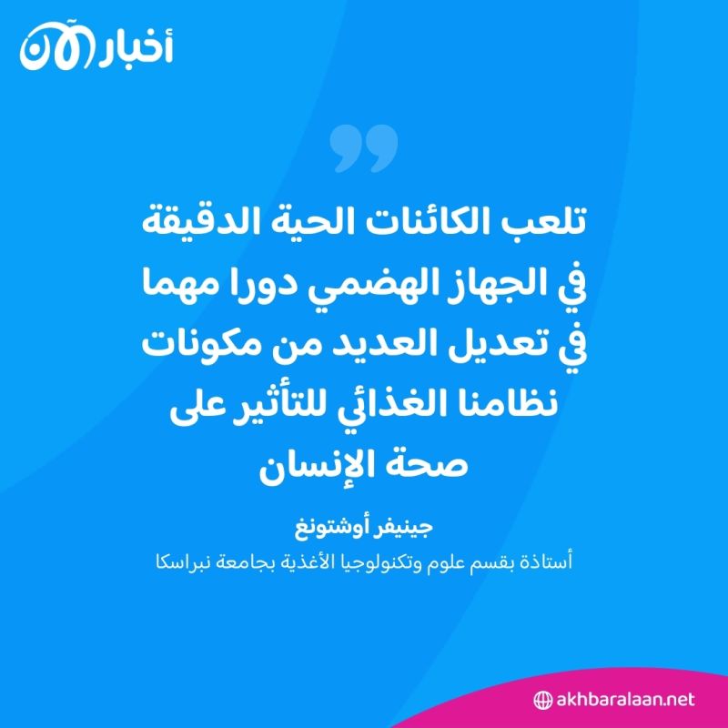 علماء يكتشفون طعام قد يقلل من خطر سرطان الثدي.. تعرف عليه 2 علماء يكتشفون طعام قد يقلل من خطر سرطان الثدي.. تعرف عليه