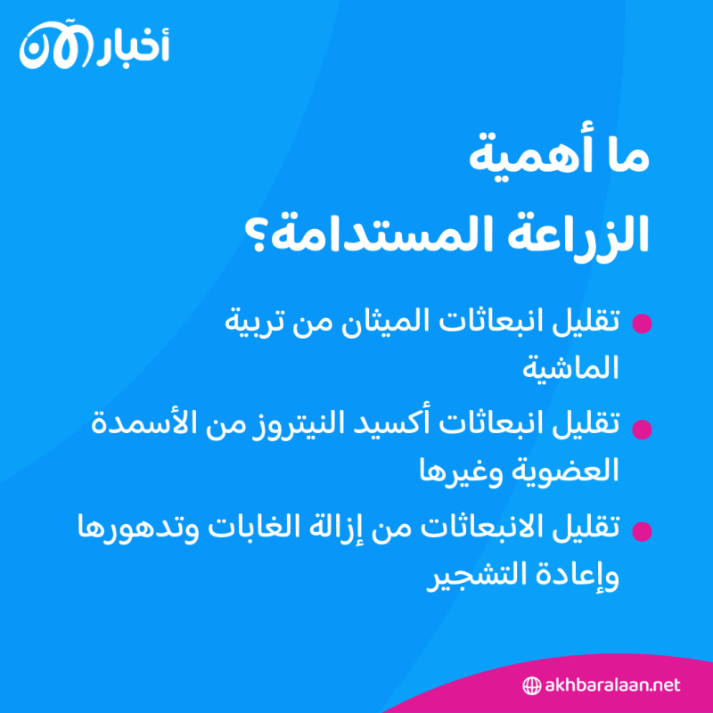 COP28.. كيف تسهم الزراعة المستدامة في مكافحة أزمة المناخ؟