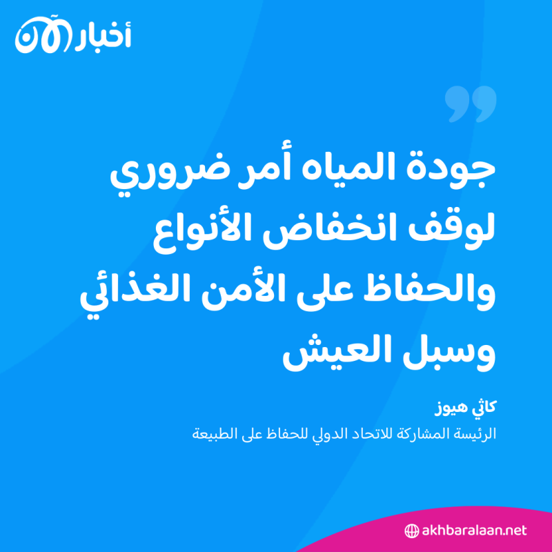 بسبب أزمة المناخ.. ربع أسماك المياه العذبة مهددة بالانقراض 2 بسبب أزمة المناخ.. ربع أسماك المياه العذبة مهددة بالانقراض