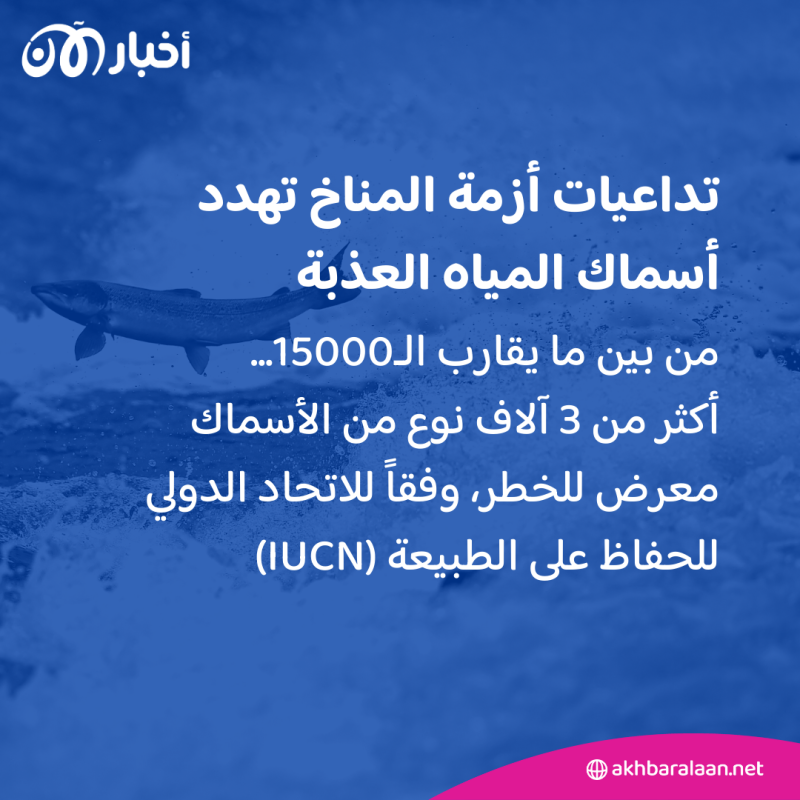 بسبب أزمة المناخ.. ربع أسماك المياه العذبة مهددة بالانقراض 1 بسبب أزمة المناخ.. ربع أسماك المياه العذبة مهددة بالانقراض