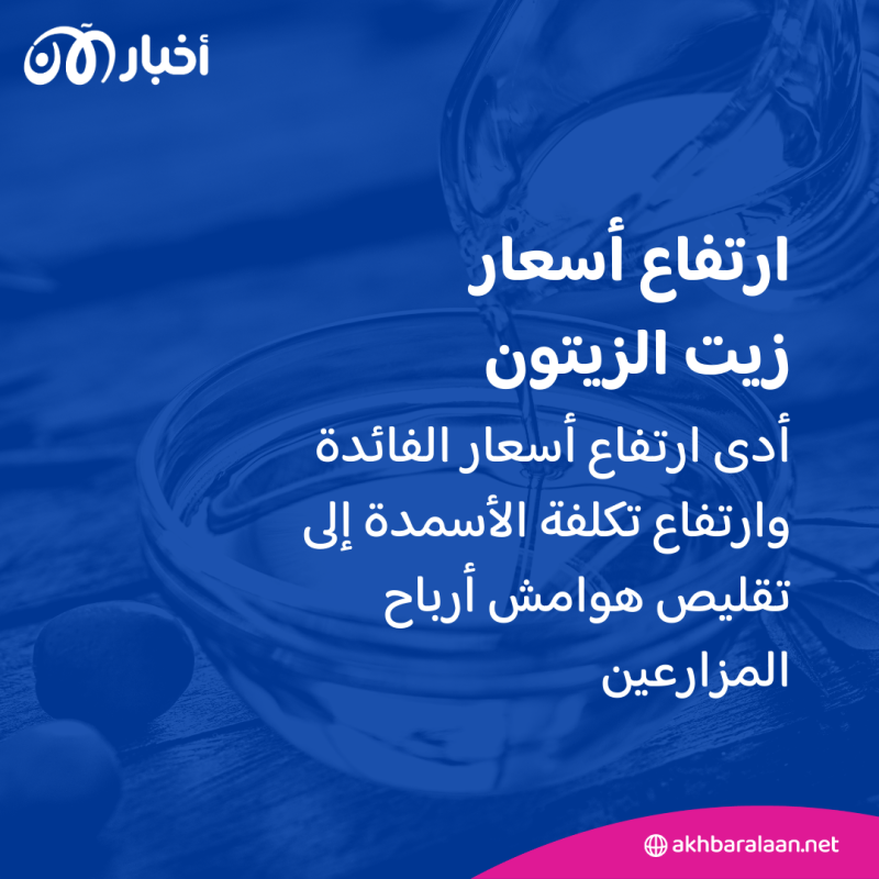 تضاعفت 7 مرات في 4 سنوات.. لماذا ارتفعت أسعار زيت الزيتون؟