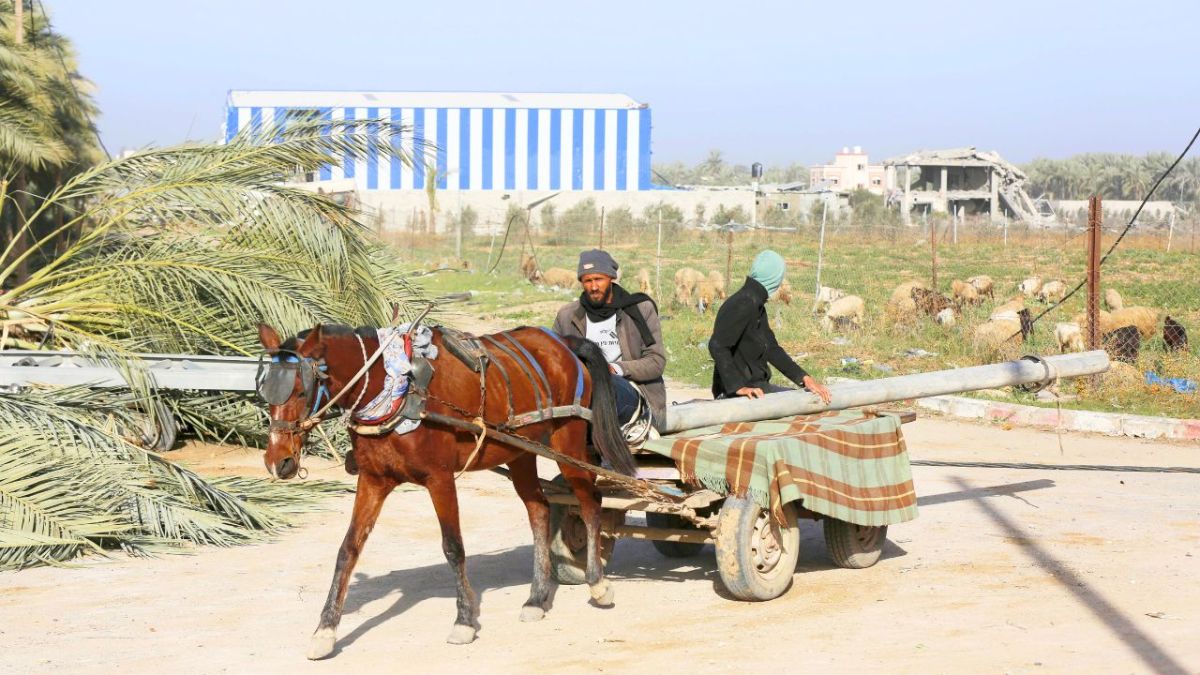 بعد 100 يوم من الحرب.. كيف كافح سكان غزة من أجل البقاء؟