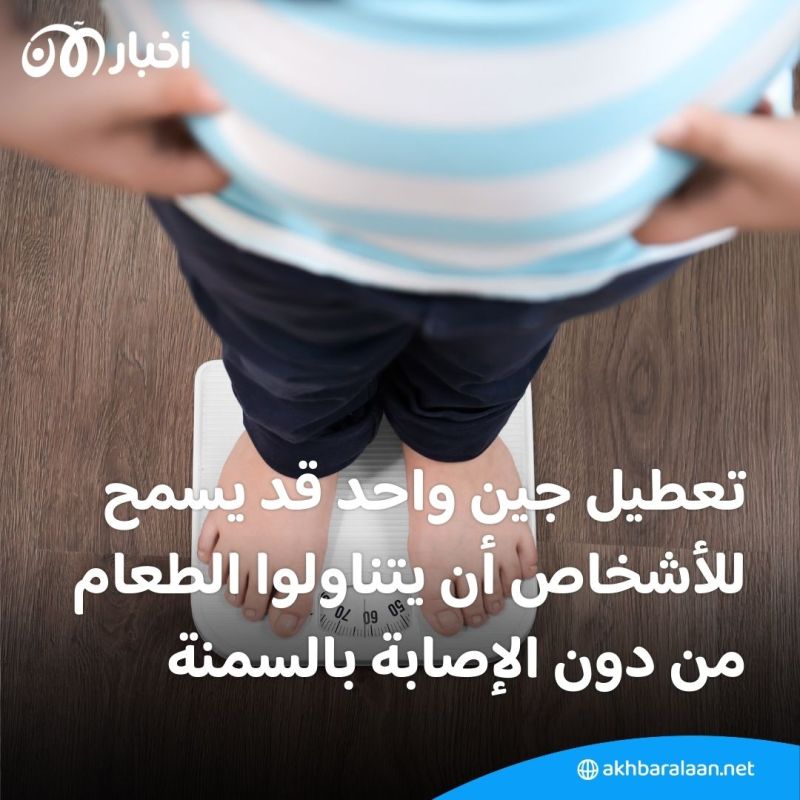 تناول الطعام من دون الإصابة بالسمنة.. حلم قد يصبح حقيقة بفضل هذه الدراسة