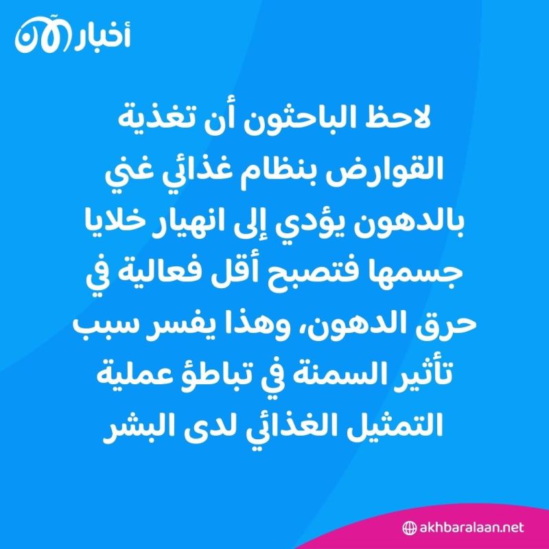 تناول الطعام من دون الإصابة بالسمنة.. حلم قد يصبح حقيقة بفضل هذه الدراسة