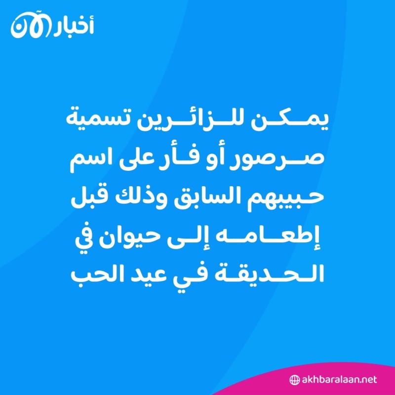 إطلاق اسمه على "صرصور".. الانتقام من الـ"إكس" في عيد الحب