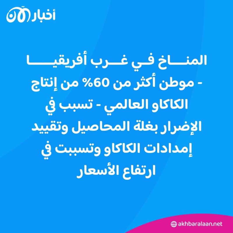 أسعار الكاكاو وصلت لمعدلات تاريخية.. كيف تؤثر على الشوكولاتة في عيد الحب؟