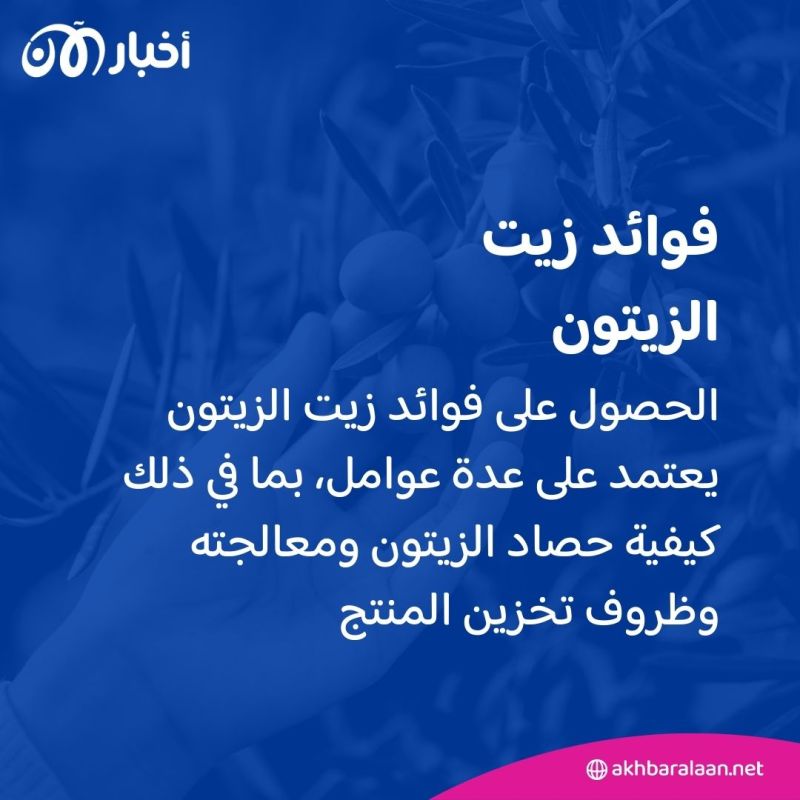 فوائده عديدة ومفيد للقلب.. لكن كيف تعرف إذا كان زيت الزيتون الذي تشتريه مفيداً؟ 1 فوائده عديدة ومفيد للقلب.. لكن كيف تعرف إذا كان زيت الزيتون الذي تشتريه مفيداً؟