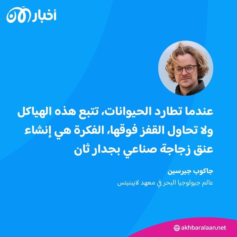 اكتشاف جدار حجري عمره 11 ألف عام.. ما سر تشييده؟