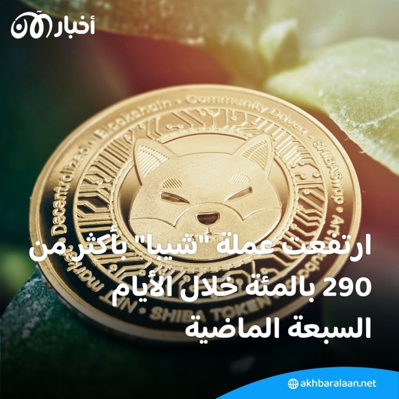 بعد ارتفاعها الجنوني.. ماذا نعرف عن عملات "الميم" المشفرة؟