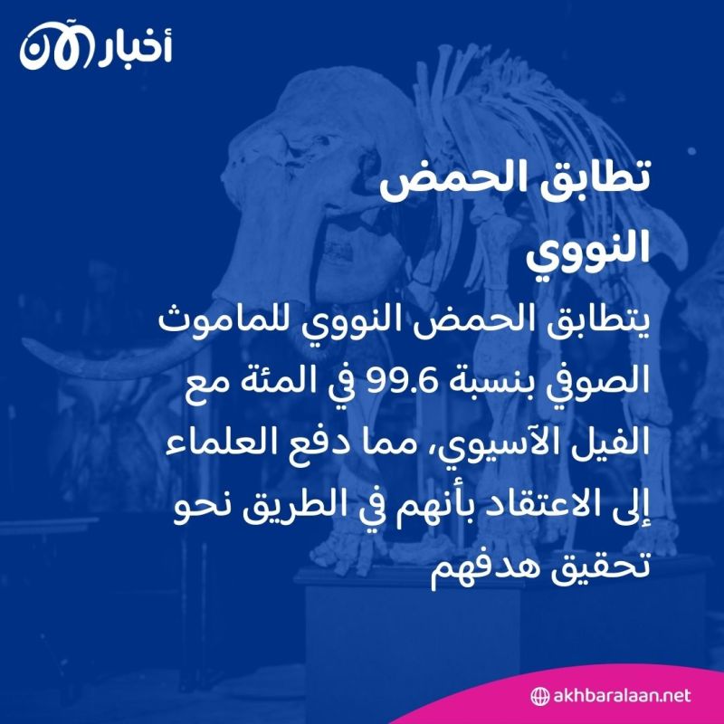 العلماء بصدد إعادة إحياء الماموث الصوفي.. هل ينجحون؟