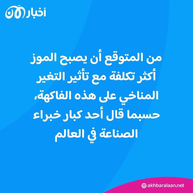مع تزايد التغييرات المناخية وارتفاع الحرارة.. هل محاصيل الموز مهددة؟