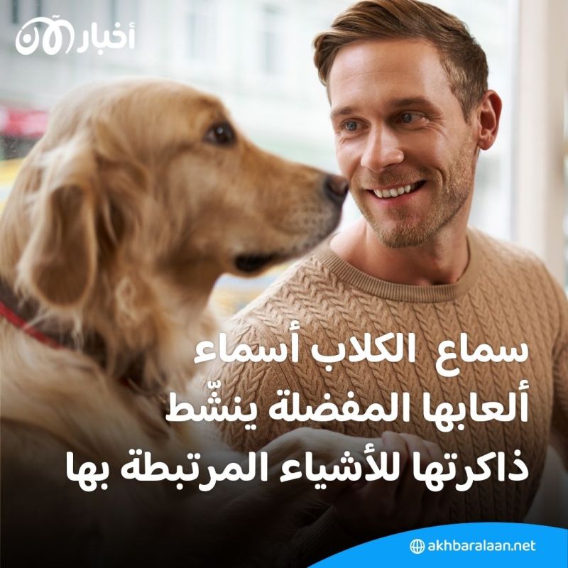 هل حقًا تفهم الكلاب أحاديث البشر؟ 1 هل حقًا تفهم الكلاب أحاديث البشر؟