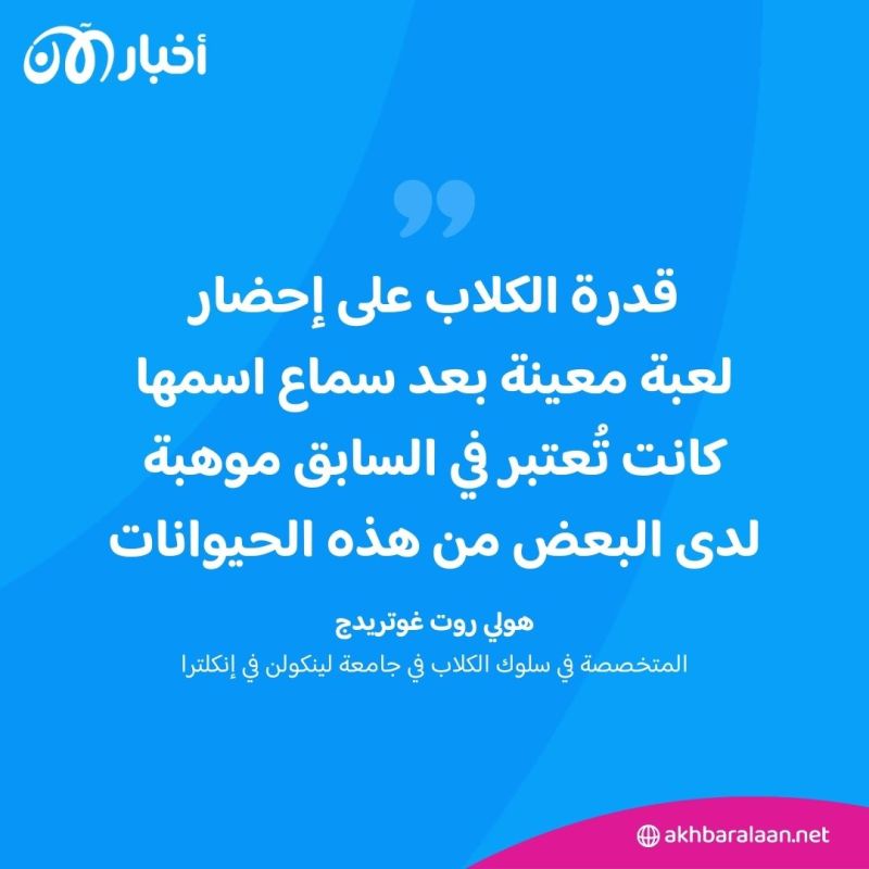 هل حقًا تفهم الكلاب أحاديث البشر؟ 2 هل حقًا تفهم الكلاب أحاديث البشر؟