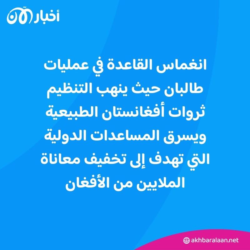 مخدرات وتعدين وتهريب.. كشف أنشطة القاعدة في أفغانستان تحت رعاية طالبان