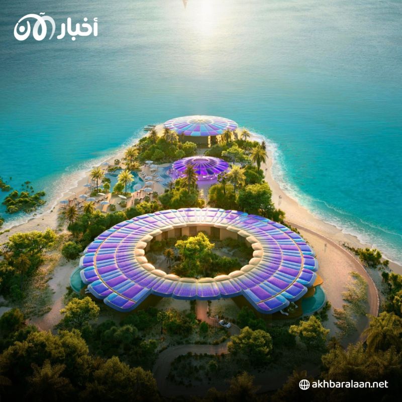 اتفاقية بين شركة البحر الأحمر الدولية وكانو الأمريكية لتجريب السيارات الكهربائية