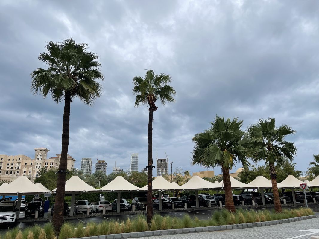 بالصور والفيديو.. هكذا كان المطر في دبي من مكتب أخبار الآن 6 بالصور والفيديو.. هكذا كان المطر في دبي من مكتب أخبار الآن