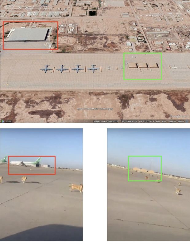 ما حقيقة فيديو الكلاب الشاردة في مطار هواري بو مدين بالجزائر؟
