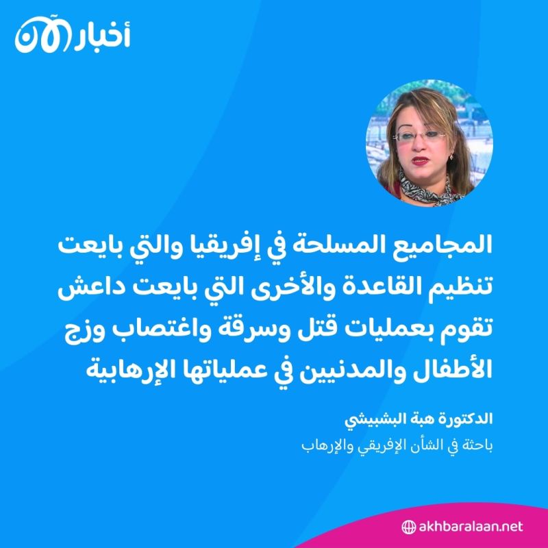 بعد 13 عاما من مقتل أسامة بن لادن.. القاعدة بين النهج القديم وجهاد طروادة 5 بعد 13 عاما من مقتل أسامة بن لادن.. القاعدة بين النهج القديم وجهاد طروادة