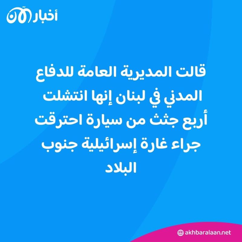 مقتل 4 من عناصر حزب الله في غارة إسرائيلية على لبنان