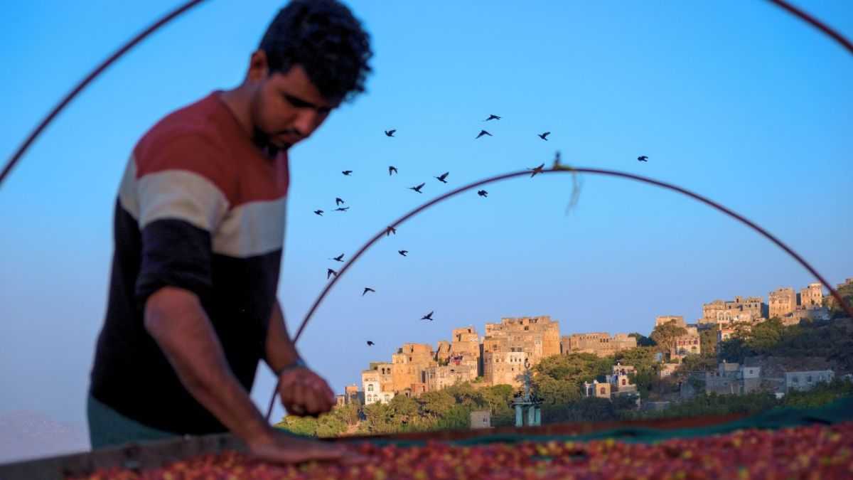 بالصور| معرض جذور الهوية: رحلة بصرية في عالم زراعة البن في اليمن