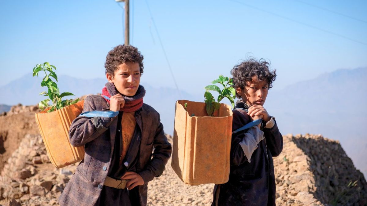 بالصور| معرض جذور الهوية: رحلة بصرية في عالم زراعة البن في اليمن