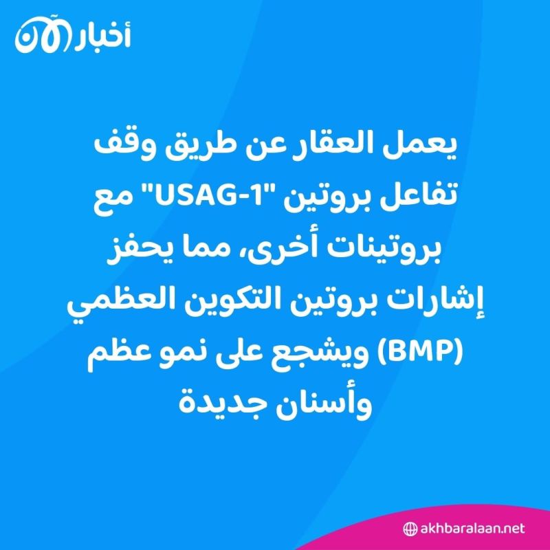 إنجاز طبي ضخم.. عقار يمكنه إعادة نمو الأسنان للبشر