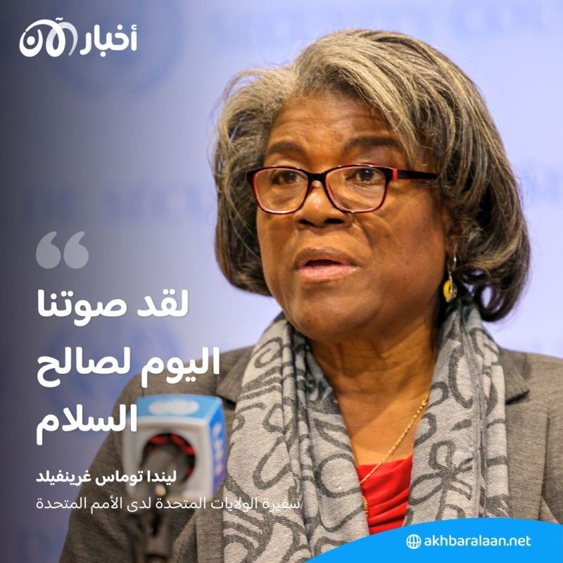 هدنة على ثلاث مراحل.. مجلس الأمن يدعم وقف إطلاق النار في غزة وحماس ترحب