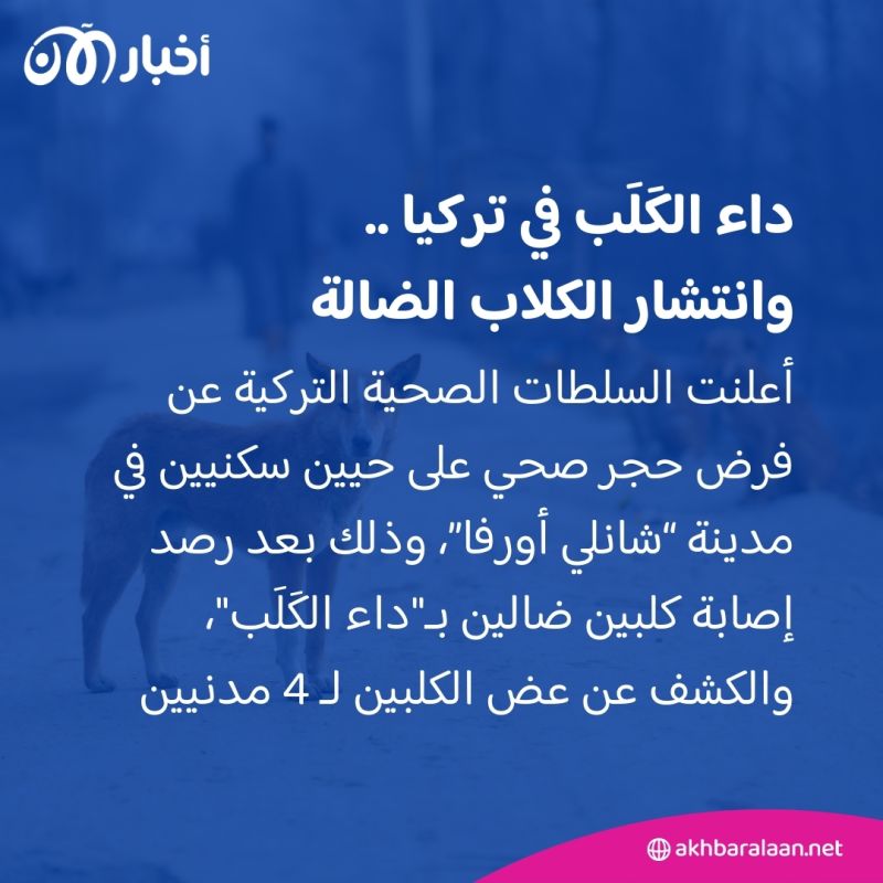 "بعد حالات الإصابة بداء الكَلَب".. هل ستُطبّق تركيا قانون القتل الرحيم للكلاب؟