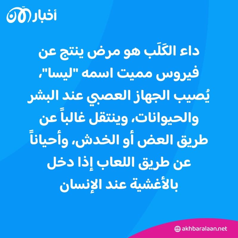 "بعد حالات الإصابة بداء الكَلَب".. هل ستُطبّق تركيا قانون القتل الرحيم للكلاب؟