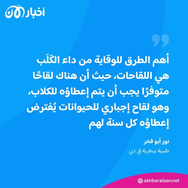 "بعد حالات الإصابة بداء الكَلَب".. هل ستُطبّق تركيا قانون القتل الرحيم للكلاب؟