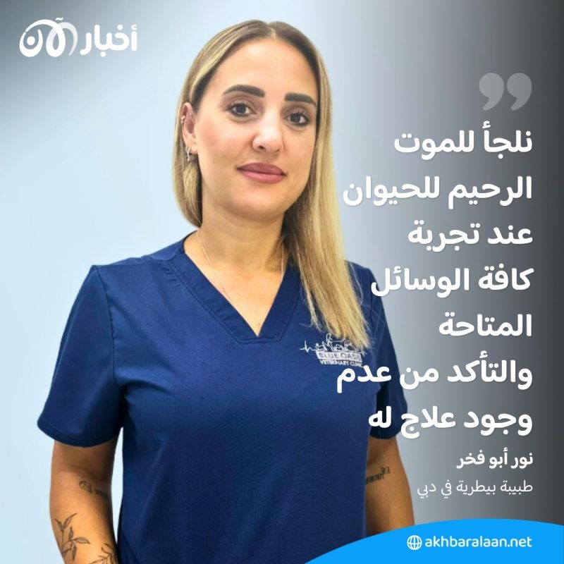 "بعد حالات الإصابة بداء الكَلَب".. هل ستُطبّق تركيا قانون القتل الرحيم للكلاب؟