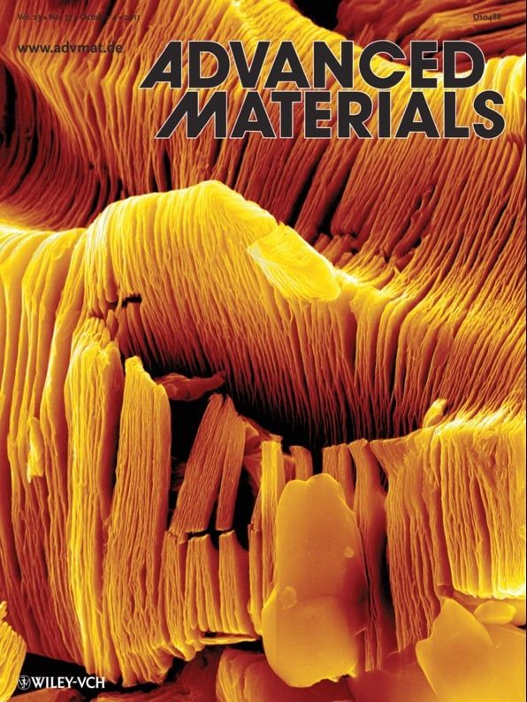 من هو العربي الذي أعطاه أستاذه الجامعي «صفرًا» فأصبح من أهم العلماء في العالم؟ 13 من هو العربي الذي أعطاه أستاذه الجامعي «صفرًا» فأصبح من أهم العلماء في العالم؟