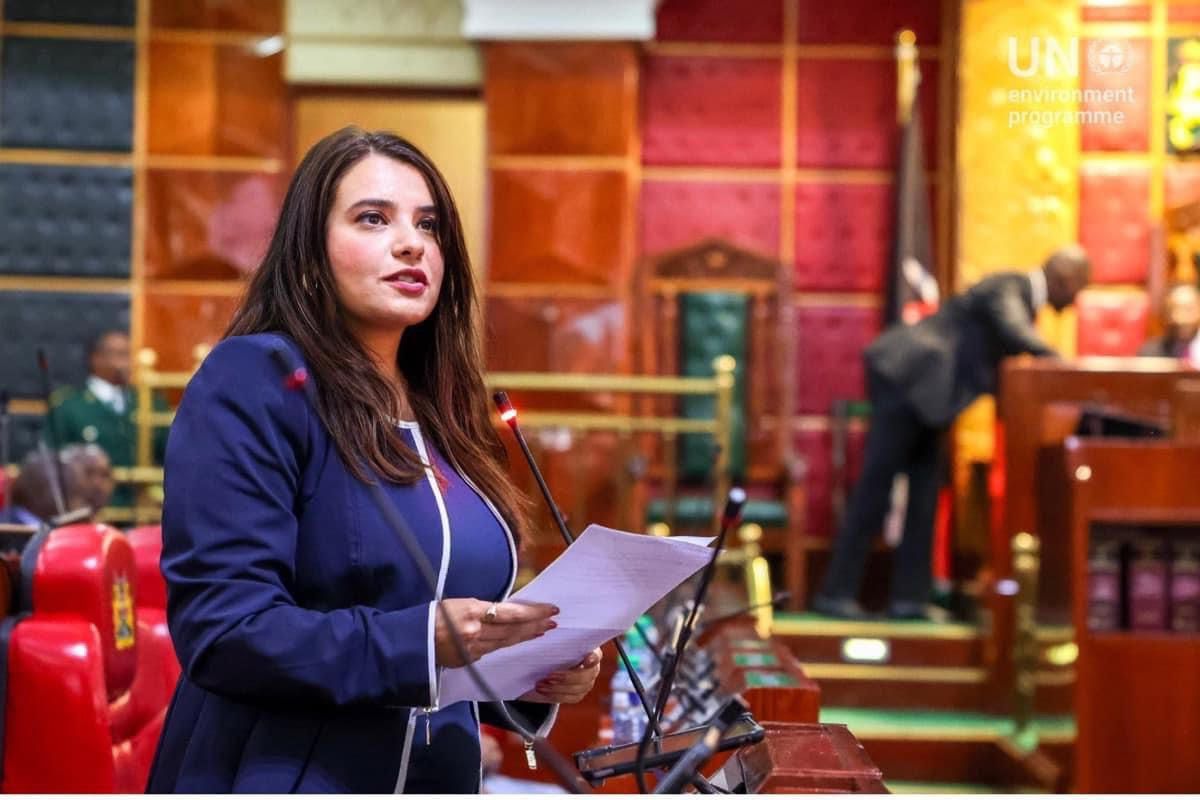 من هي الملهمة سحر البزار؟.. من فتاة بـ "تجارة" عين شمس إلى هارفارد وقمم برلمانات العالم