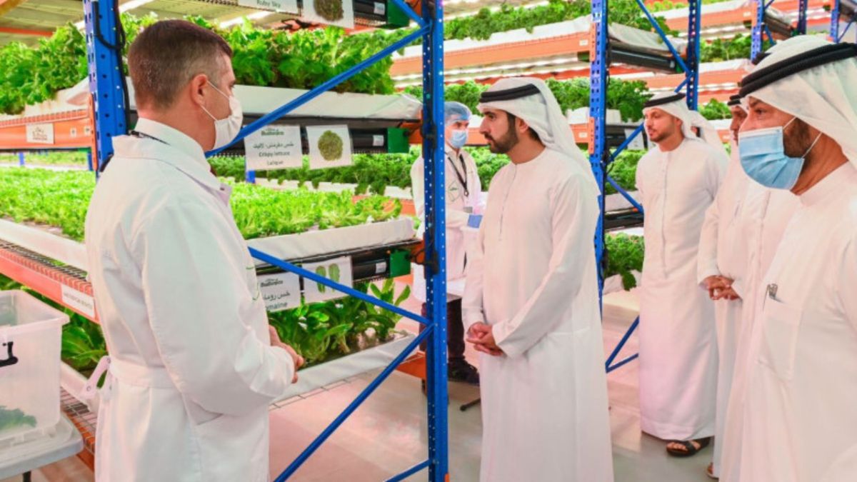 زراعة بدون تربة ومياه من الهواء.. هذا ما تفعله الإمارات لتعزيز أمنها الغذائي