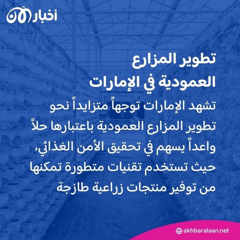 زراعة بدون تربة ومياه من الهواء.. هذا ما تفعله الإمارات لتعزيز أمنها الغذائي